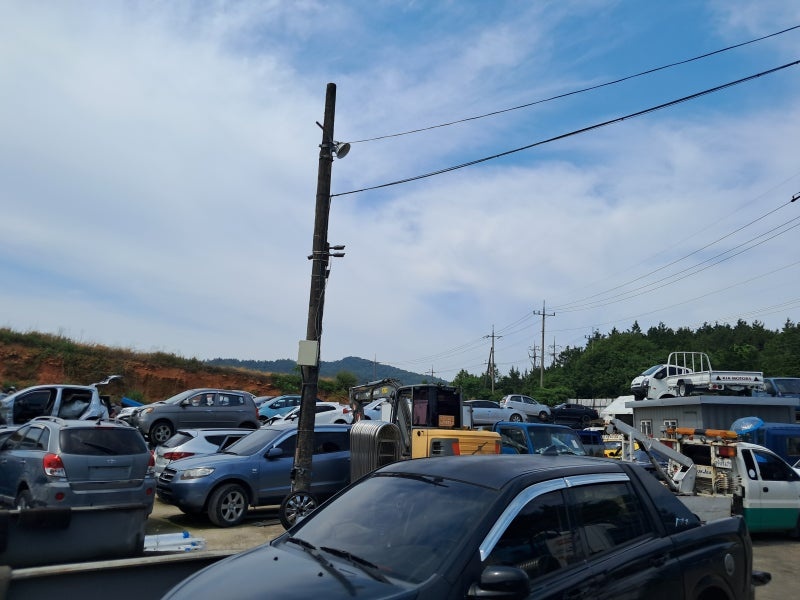 갤러리 사진