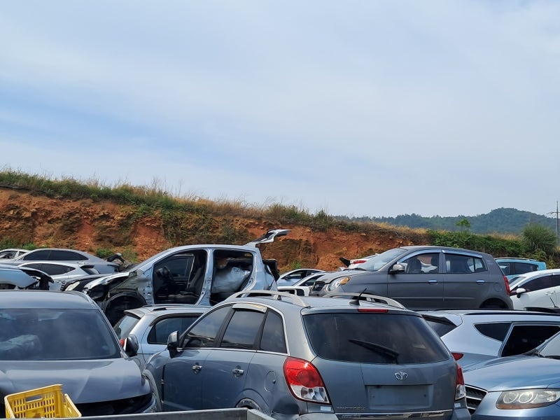 갤러리 사진